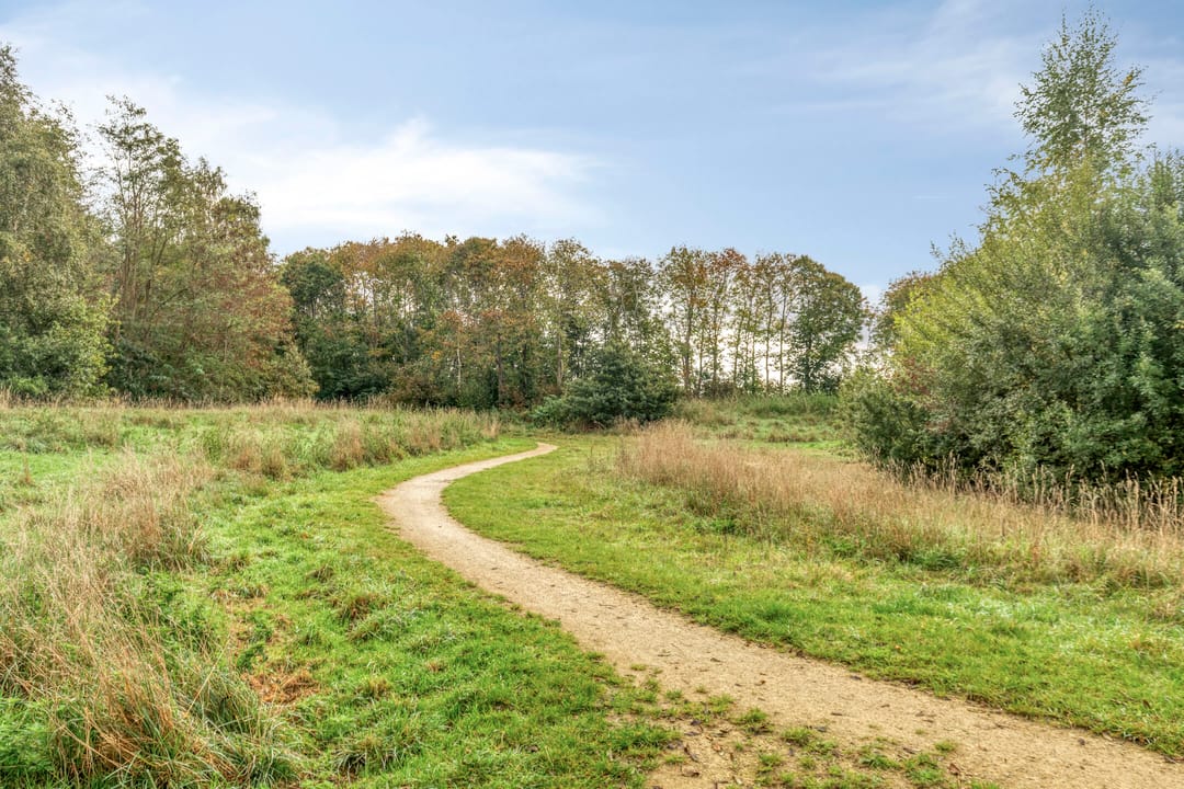 Foto 22 van Anker 49