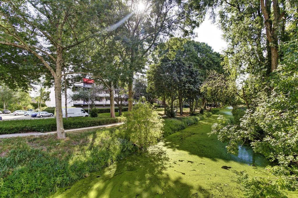 Photo 25 of Akkerwinde 138