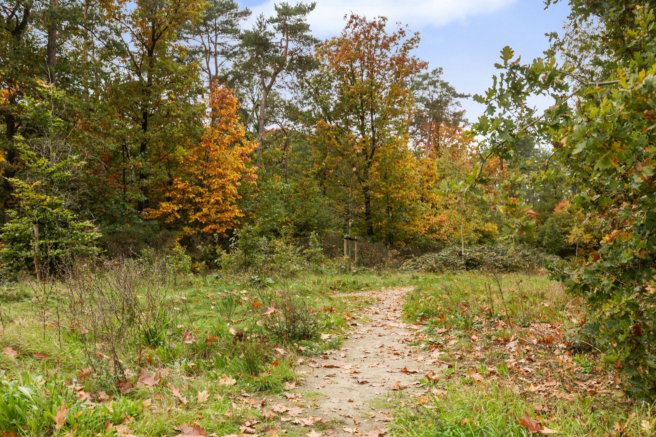 Foto 39 van Hendrik Ouwejanstraat 25