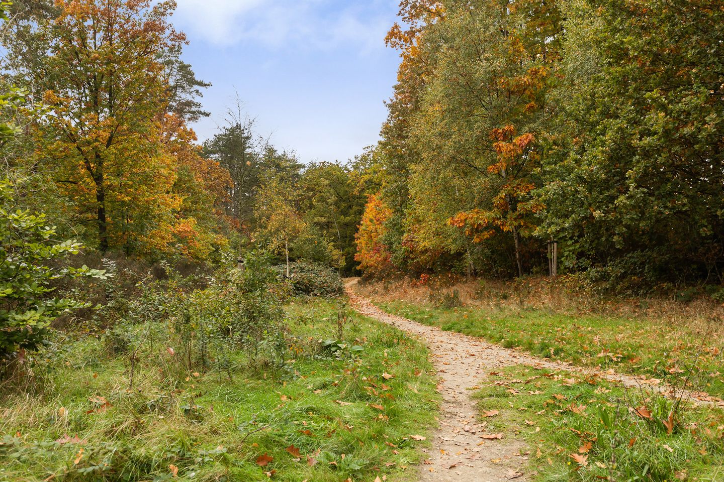 Foto 40 van Hendrik Ouwejanstraat 25