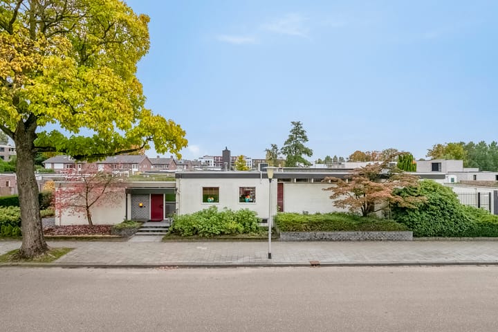 Foto 2 van Stevinplantsoen 11