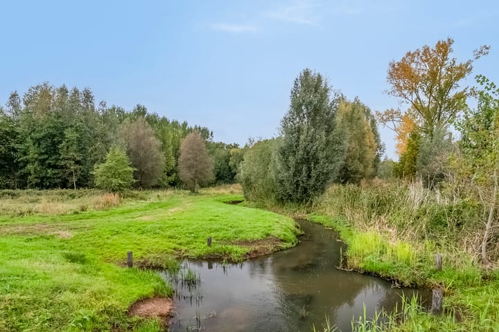 Foto 44 van Stevinplantsoen 11