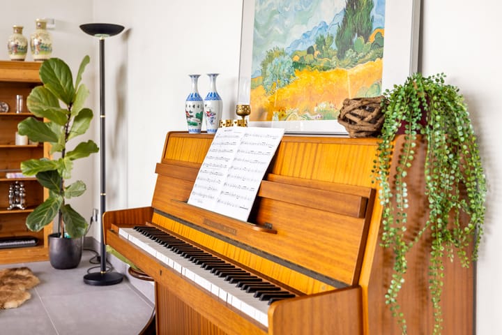 Foto 12 van De Liespôle 19