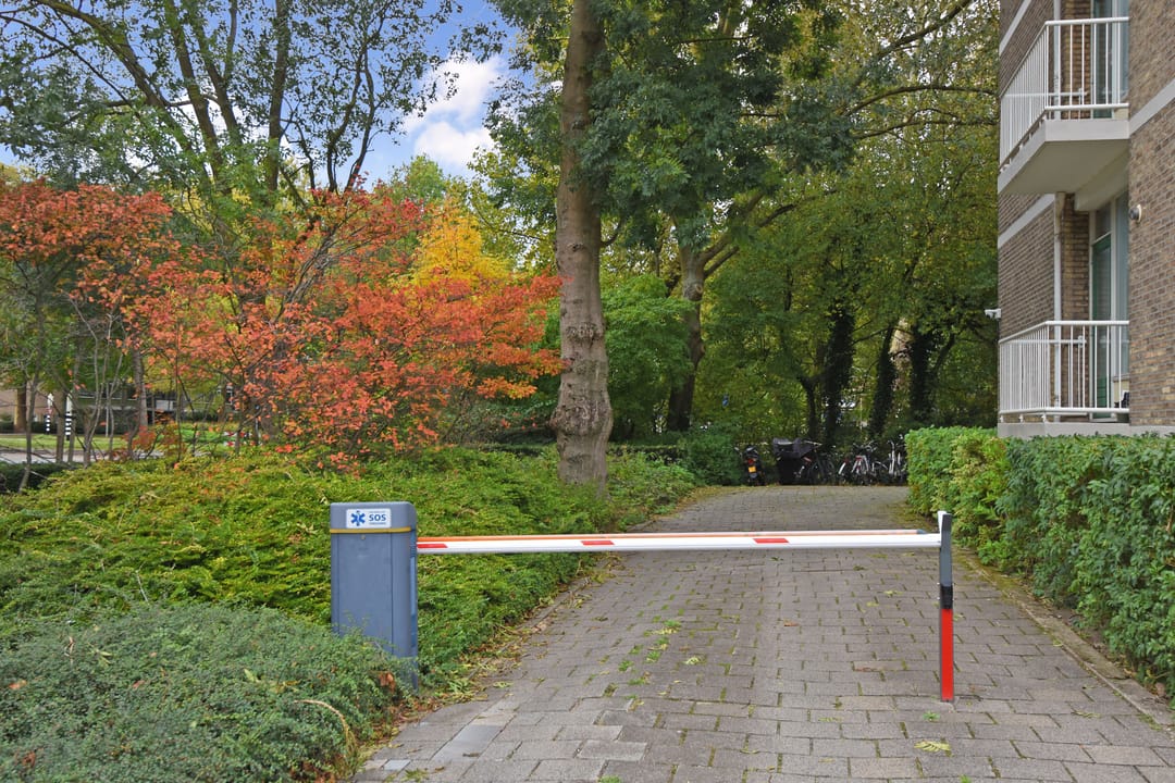 Foto 26 van Denenburg 54