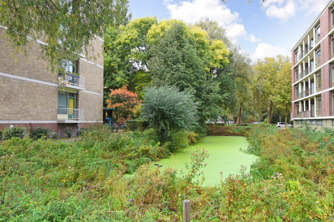 Foto 28 van Denenburg 54