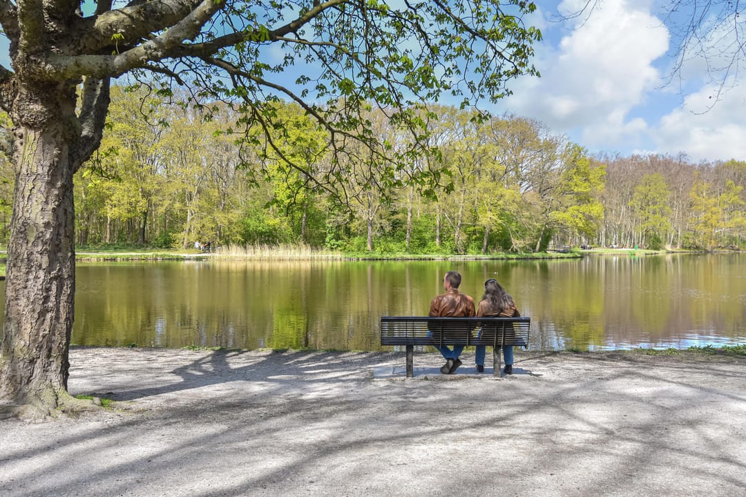 Foto 32 van Denenburg 54