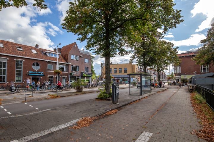 Foto 21 van Van der Mondestraat 56-B