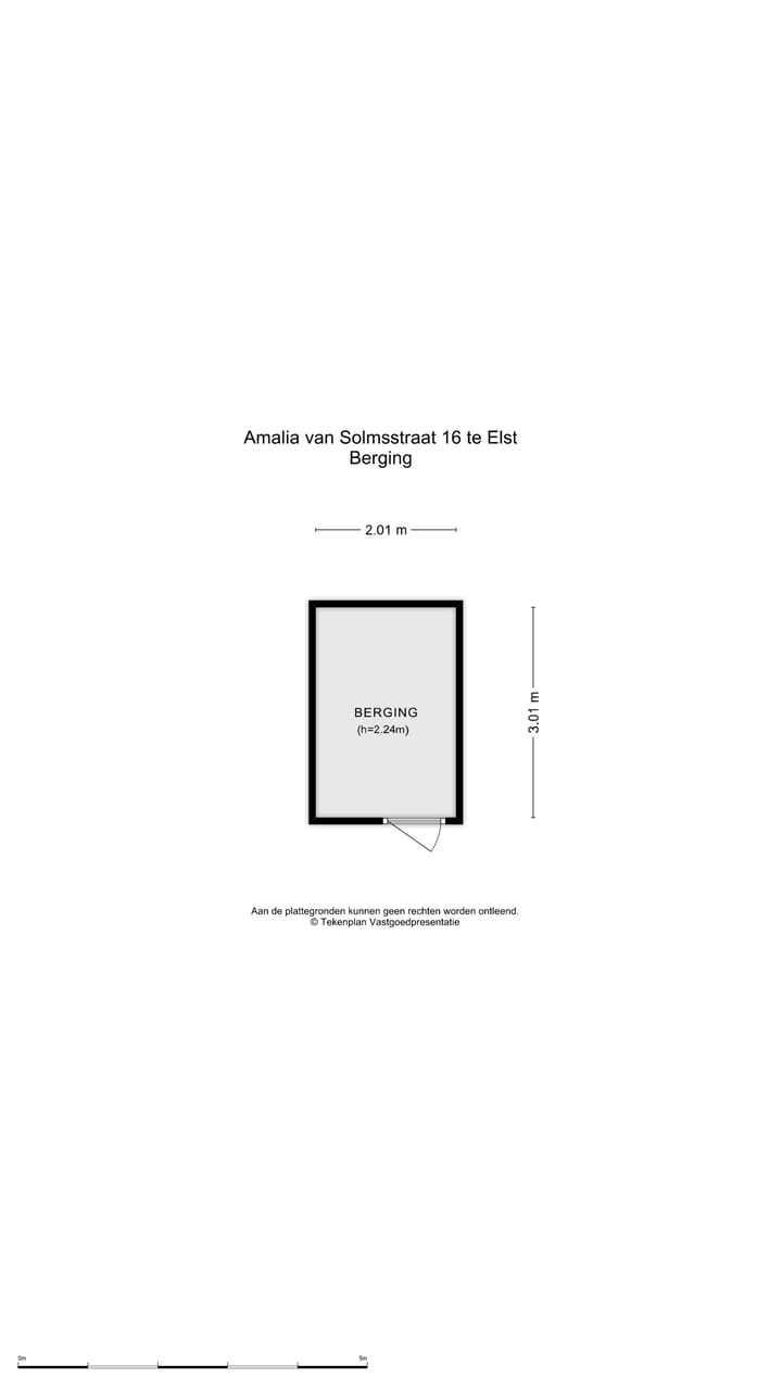 Photo 36 of Amalia van Solmsstraat 16