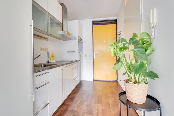 Foto 4 van Ina Boudier-Bakkerlaan 24-N