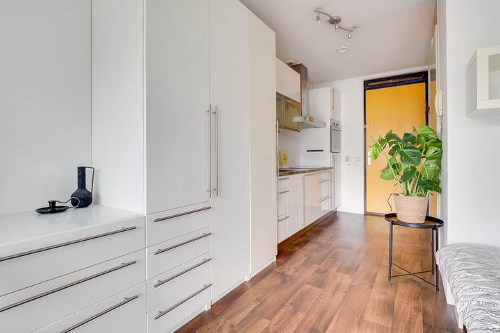 Foto 5 van Ina Boudier-Bakkerlaan 24-N