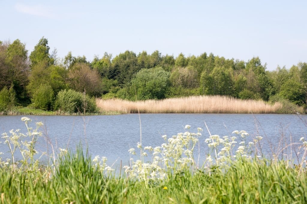 Photo 25 of Sandurdreef 5-266