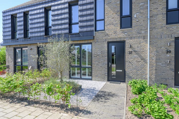 Foto 5 van Zeewolf 37