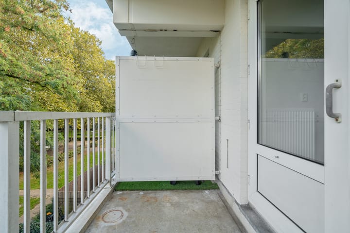 Photo 16 of Daniël Defoelaan 209