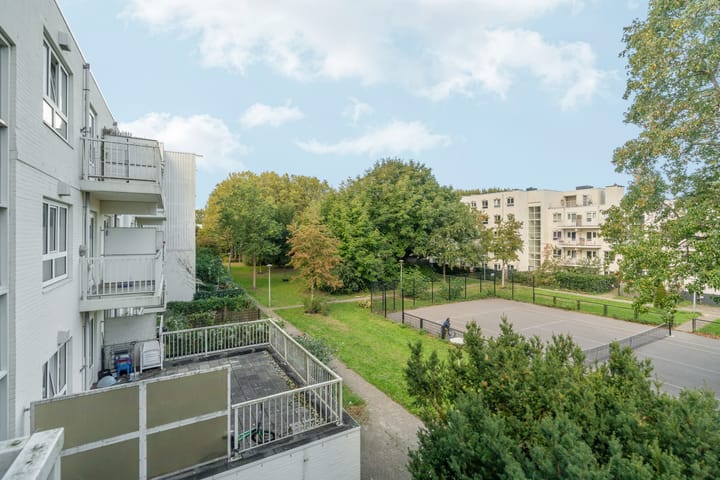 Photo 17 of Daniël Defoelaan 209