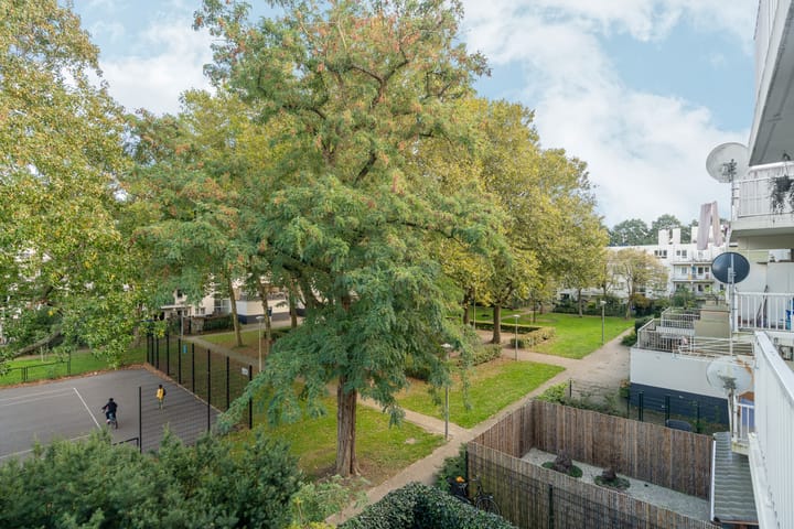 Photo 19 of Daniël Defoelaan 209