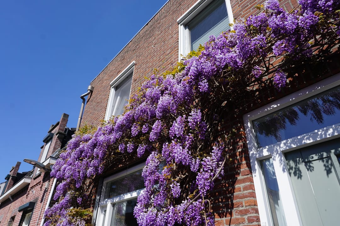 Photo 28 of Urbanusstraat 16