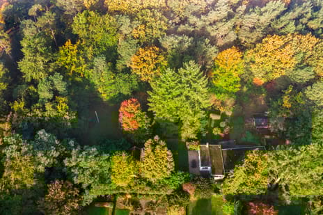 Groteweg 37 secondary image