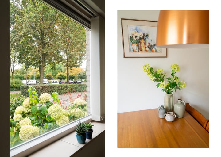 Foto 6 van Hermelijn 5