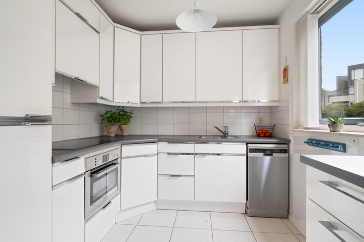 Foto 7 van Hermelijn 5