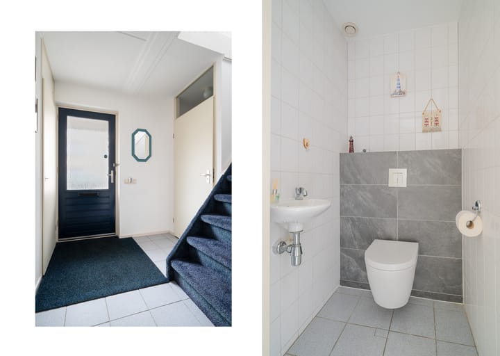 Foto 8 van Hermelijn 5