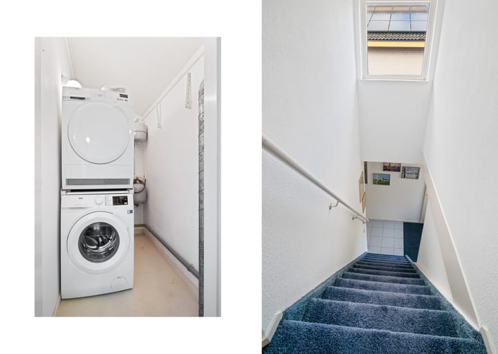 Foto 16 van Hermelijn 5