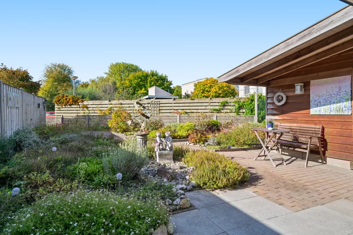 Foto 21 van Hermelijn 5