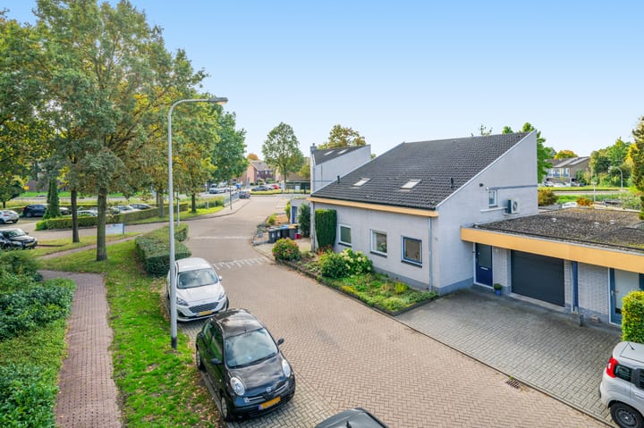 Foto 23 van Hermelijn 5