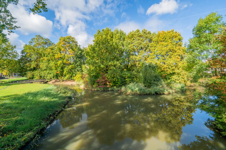 Foto 24 van Hermelijn 5