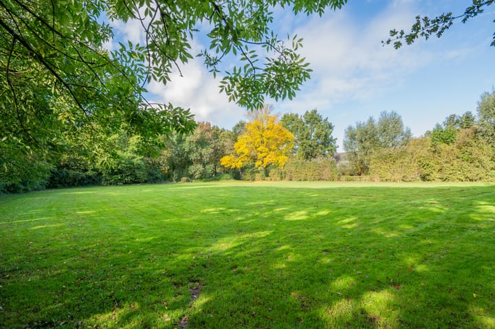 Foto 25 van Hermelijn 5