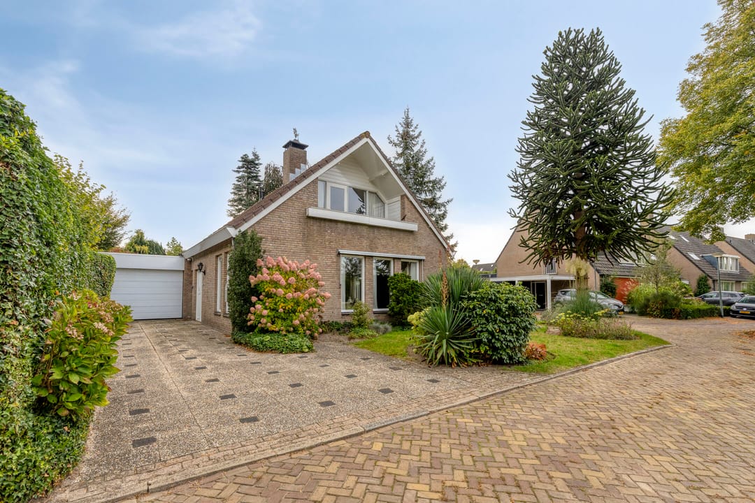 Foto 1 van De Lathouwer 9