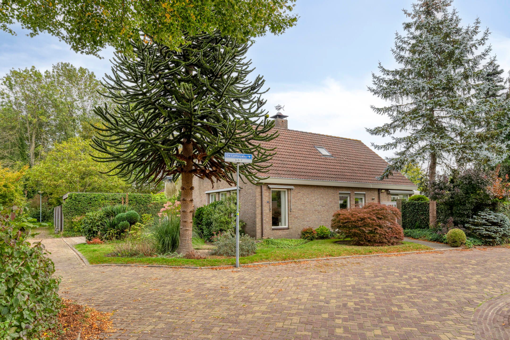 Foto 3 van De Lathouwer 9