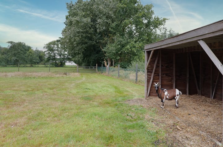 Foto 75 van It Fliet 7