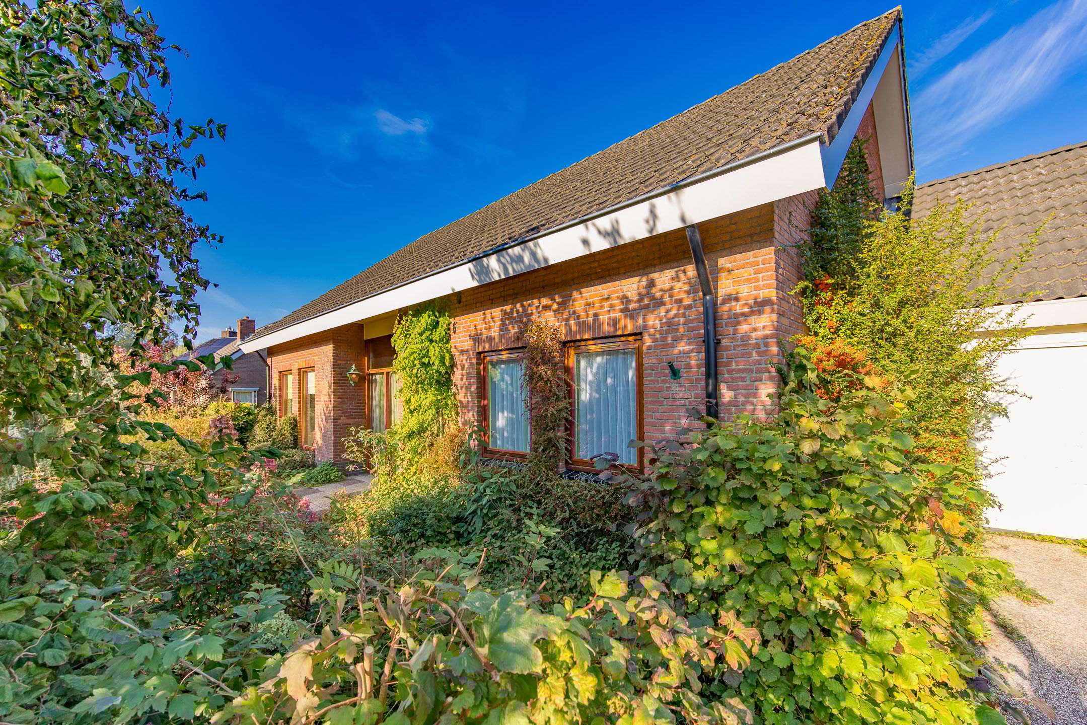 Foto 3 van Chrysantstraat 84