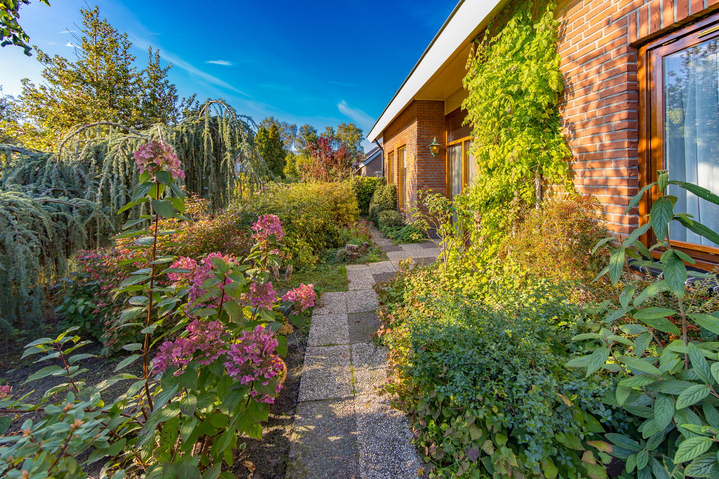 Foto 4 van Chrysantstraat 84