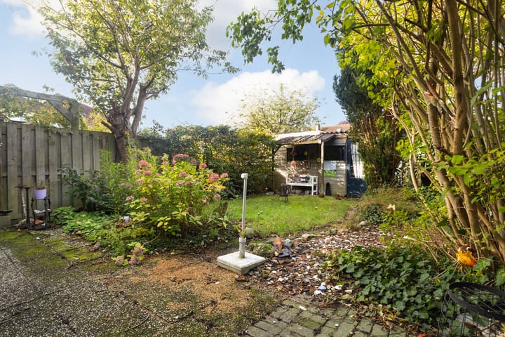 Foto 3 van Kingmastate 46