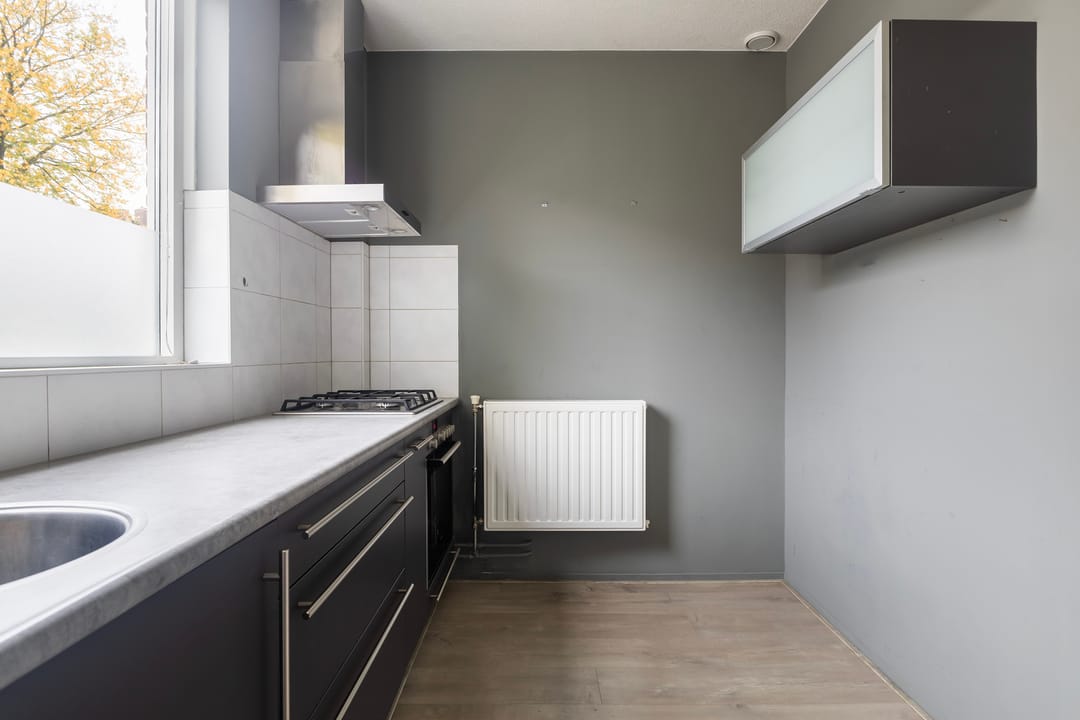 Foto 13 van Kingmastate 46