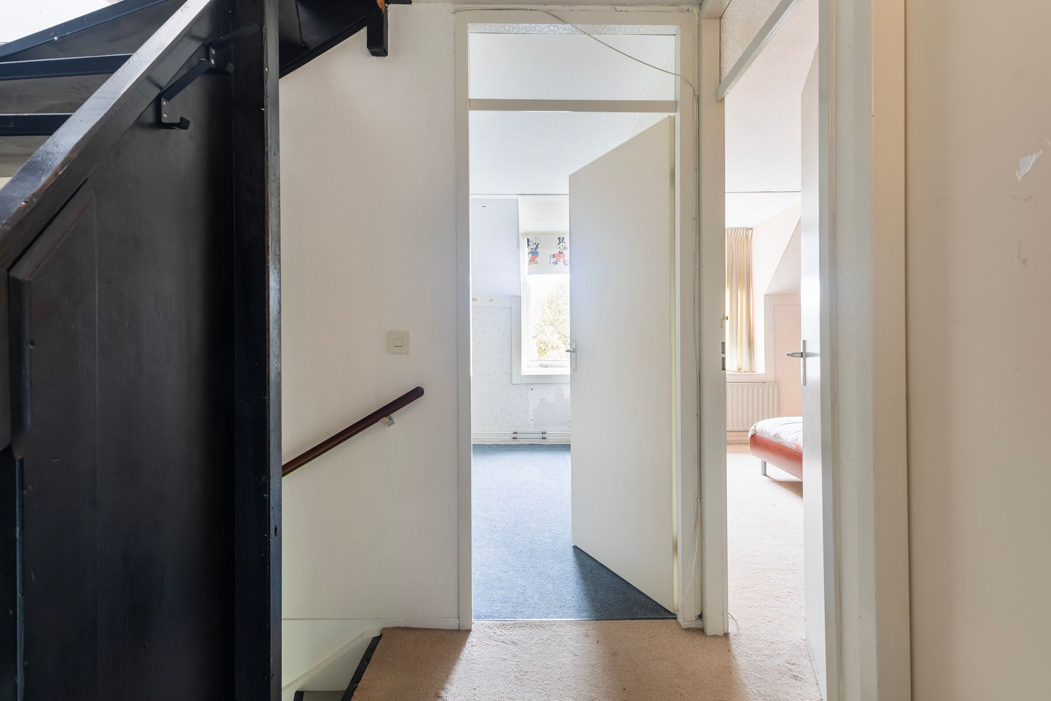 Foto 18 van Kingmastate 46