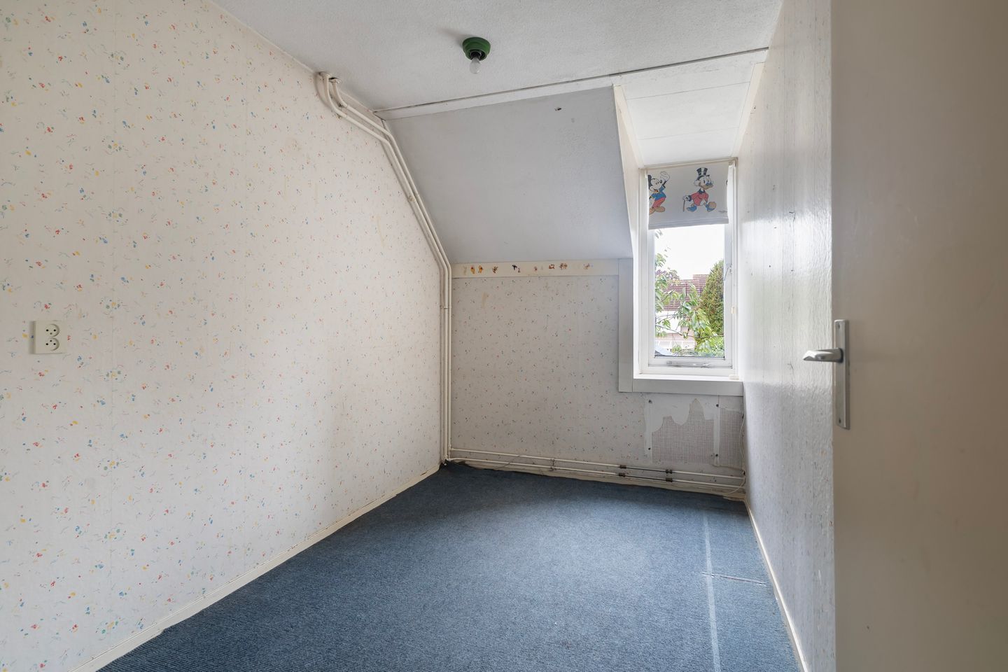 Foto 20 van Kingmastate 46