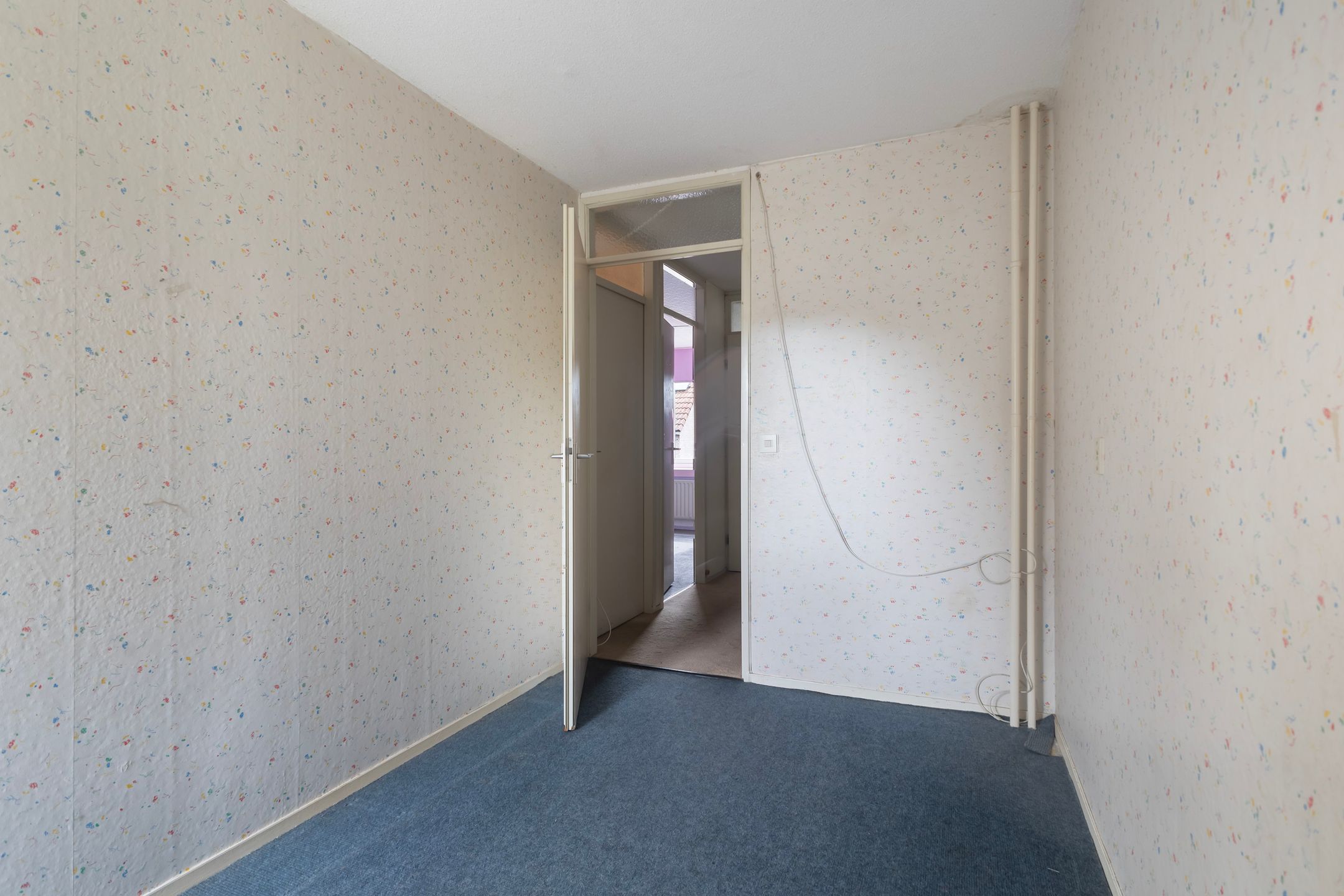 Foto 21 van Kingmastate 46