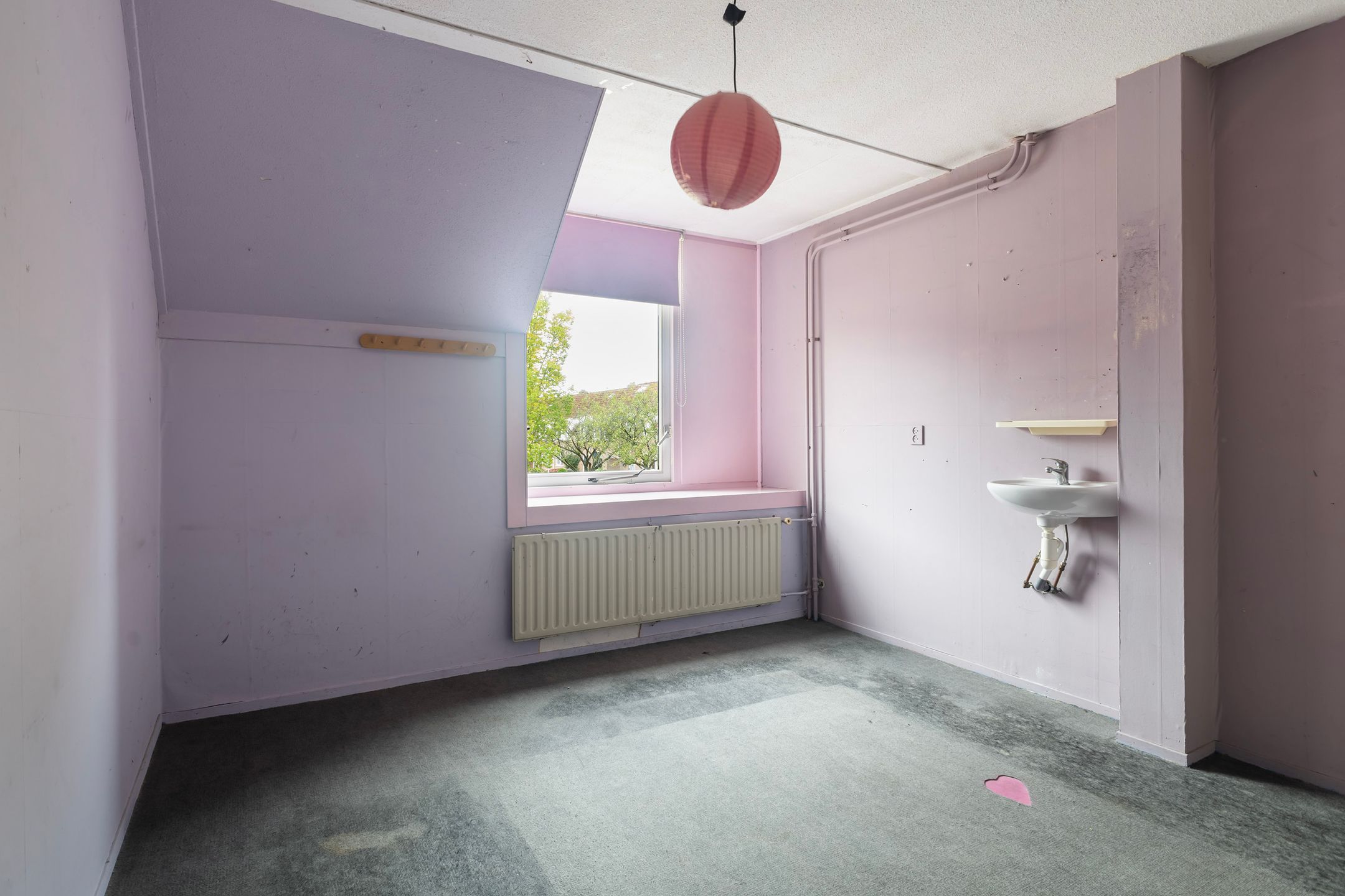 Foto 24 van Kingmastate 46