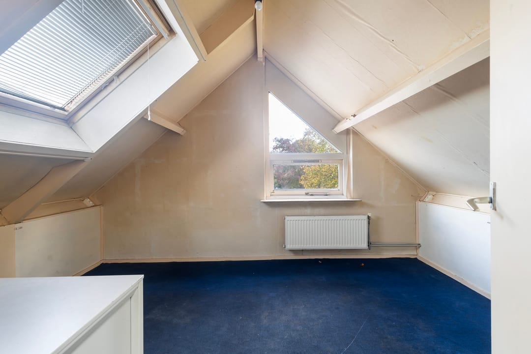 Foto 31 van Kingmastate 46