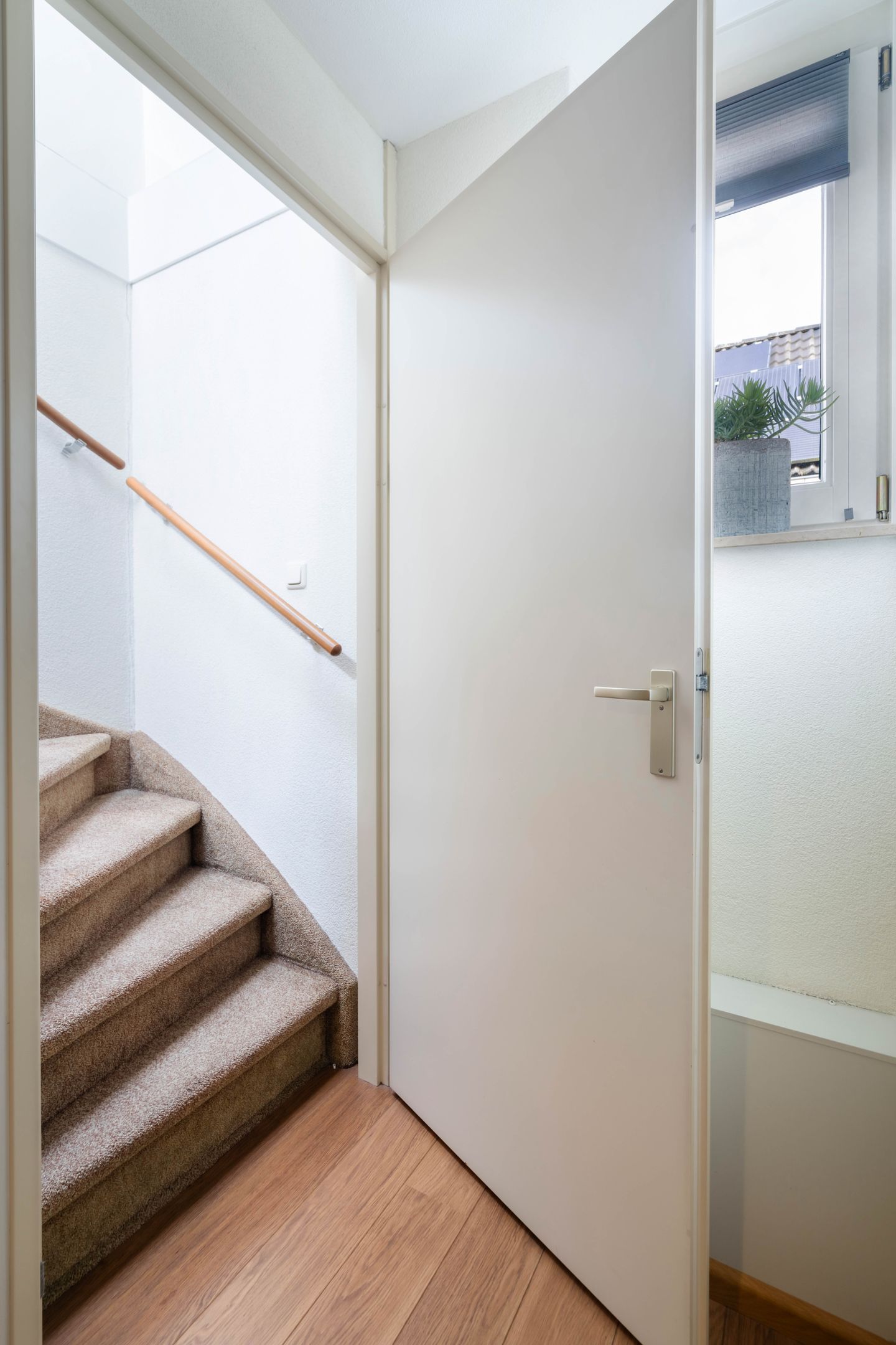 Foto 34 van Liebetehofstraat 2