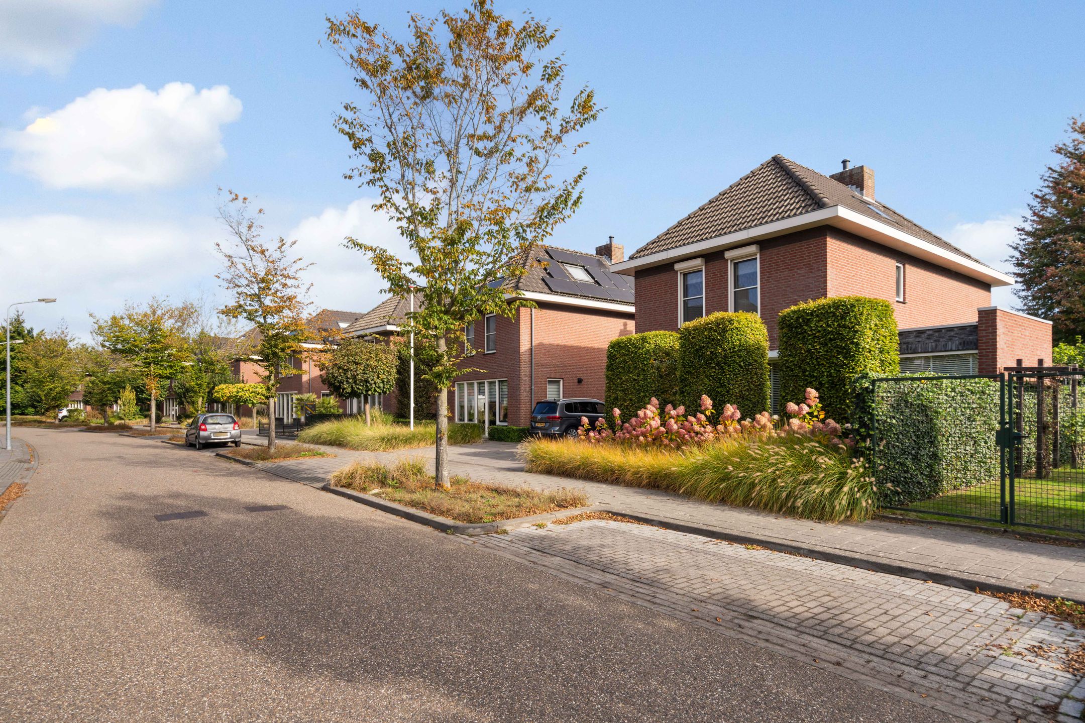 Foto 48 van Liebetehofstraat 2