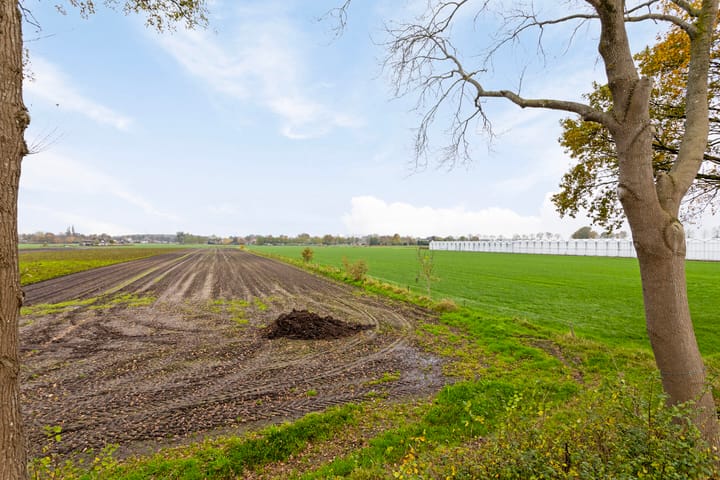 Foto 46 van Ruigevelden 17