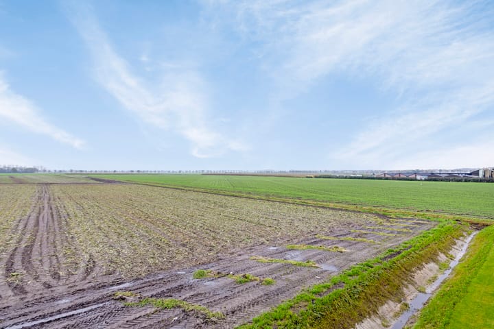 Foto 47 van Ruigevelden 17