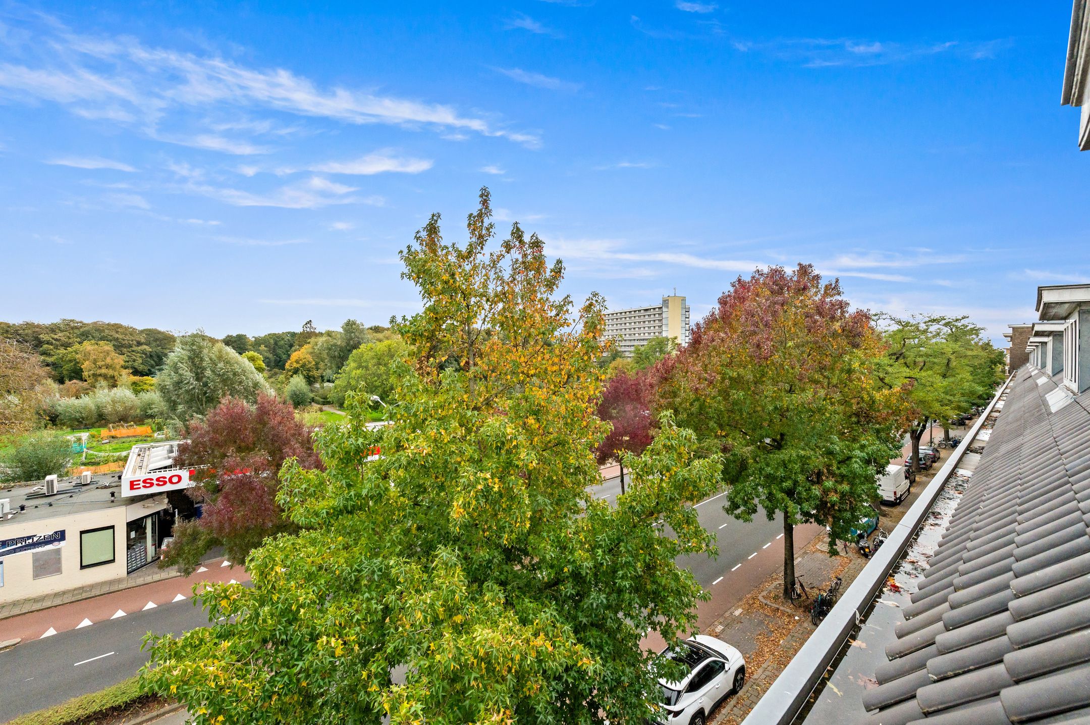 Foto 12 van Vreeswijkstraat 305-B