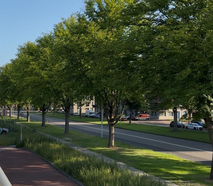 Photo 13 of Zandvoortstraat 2