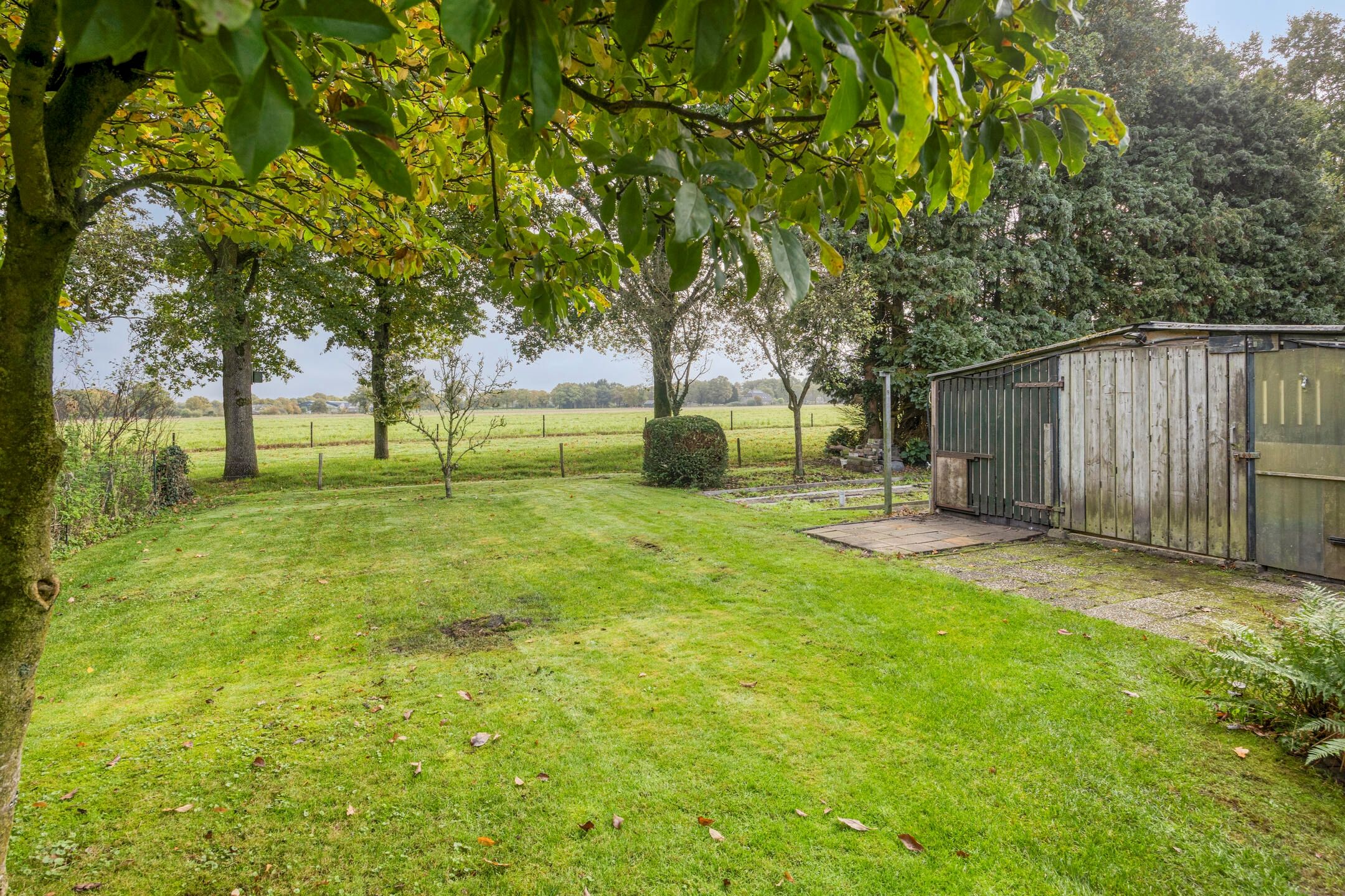 Foto 33 van Rollestraat 10