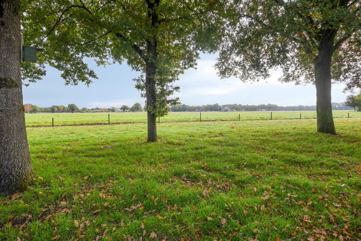 Foto 34 van Rollestraat 10