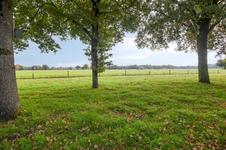 Foto 34 van Rollestraat 10